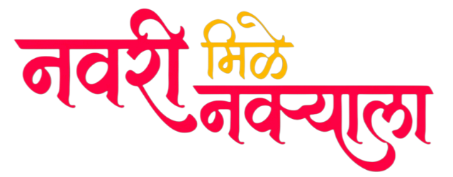 नवरी मिळे नवऱ्याला